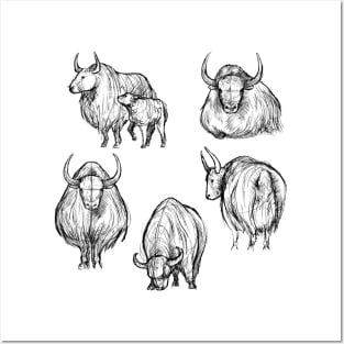 Sketches of a Yak Posters and Art